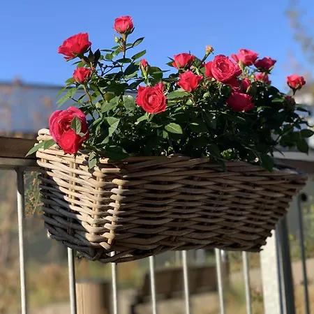 Apartmentincopenhagen 1460 * Kopenhagen